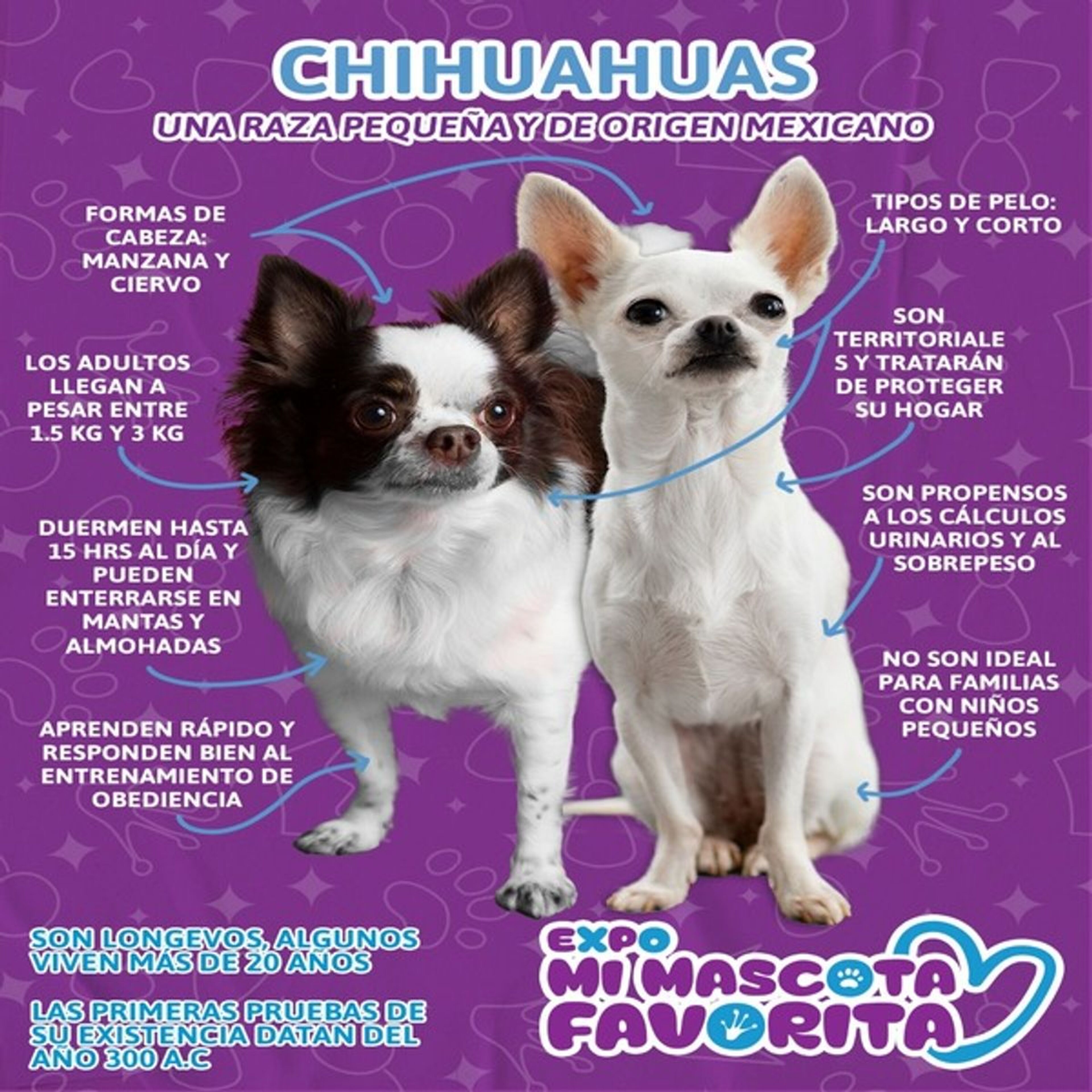 Foto de portada del evento