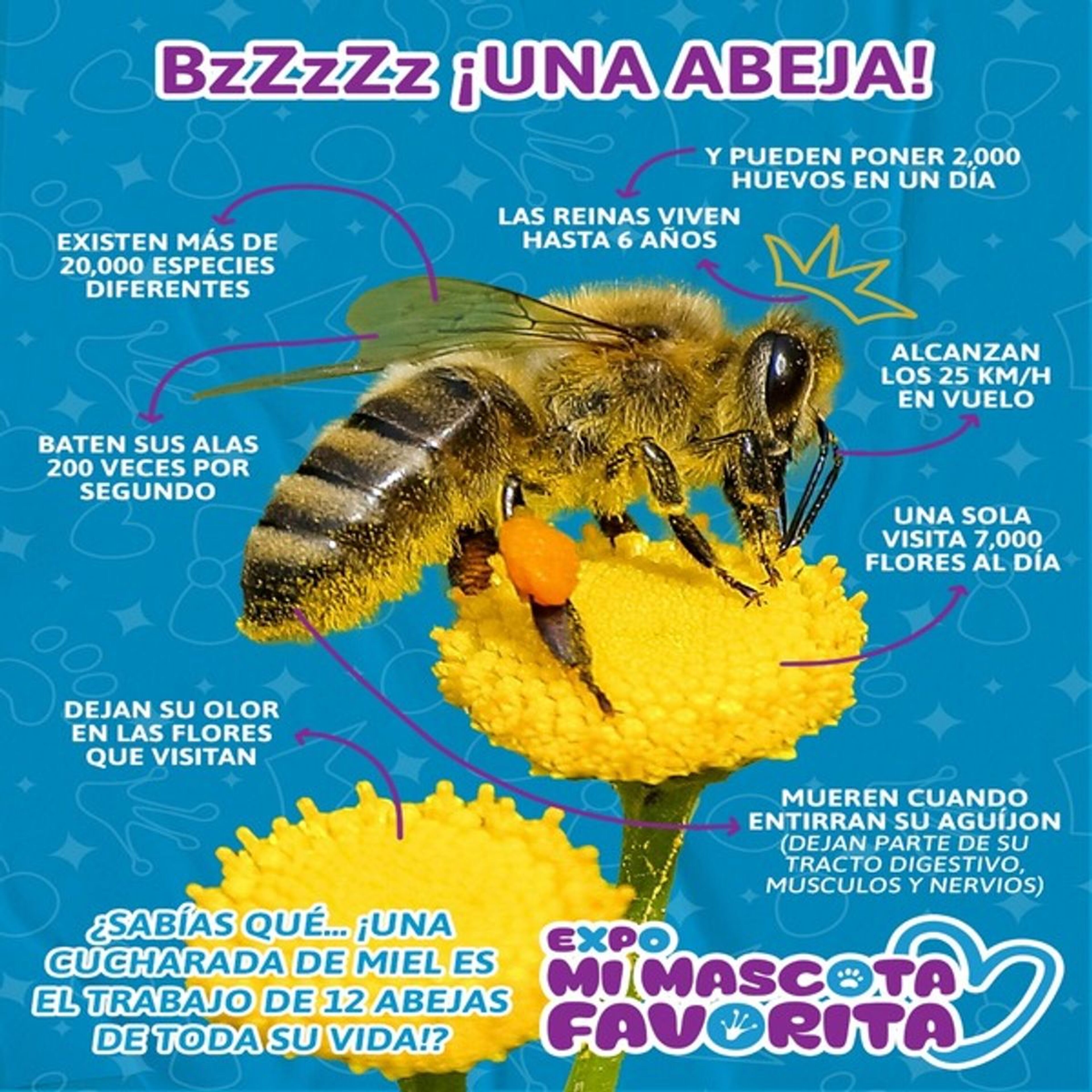 Foto de portada del evento