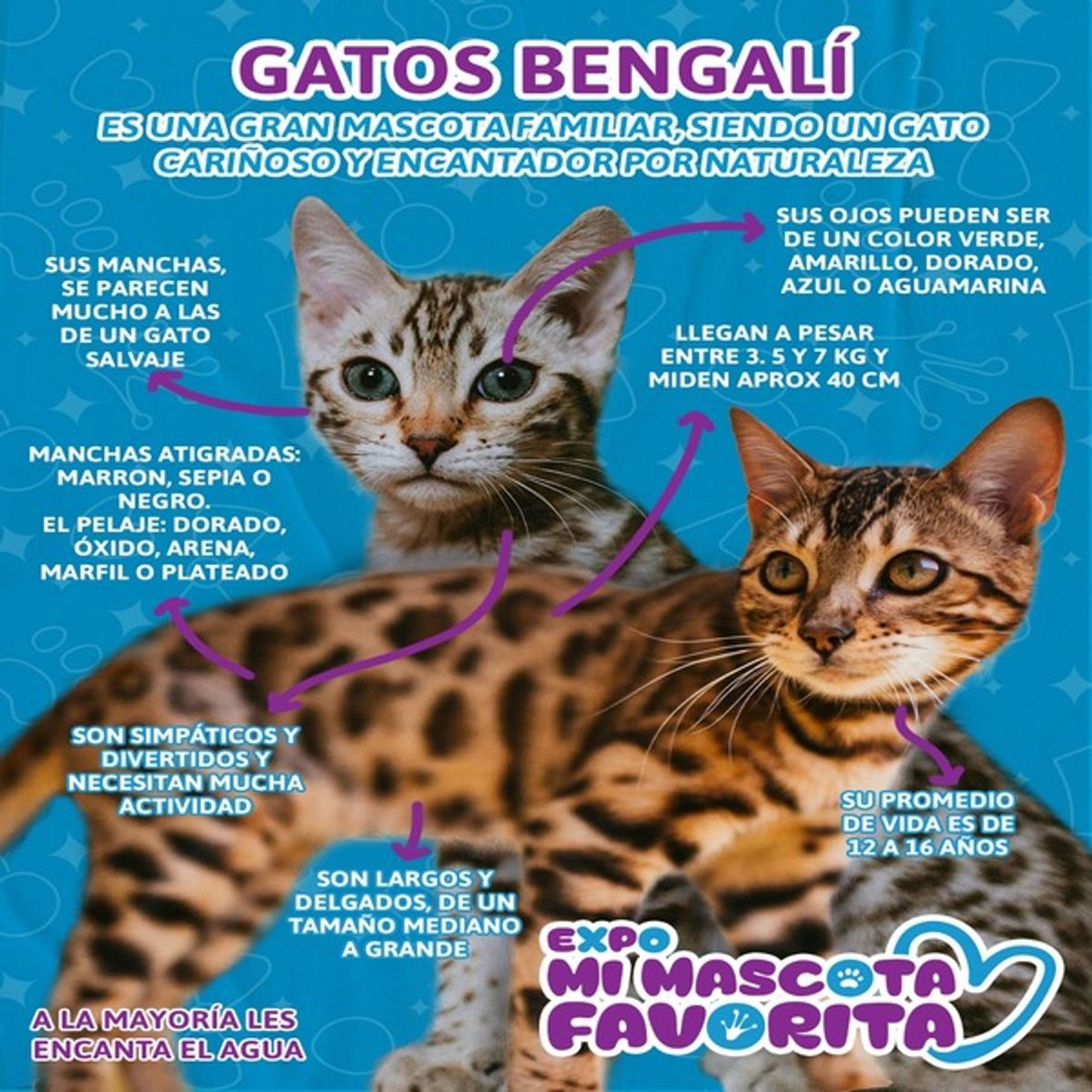 Foto de portada del evento